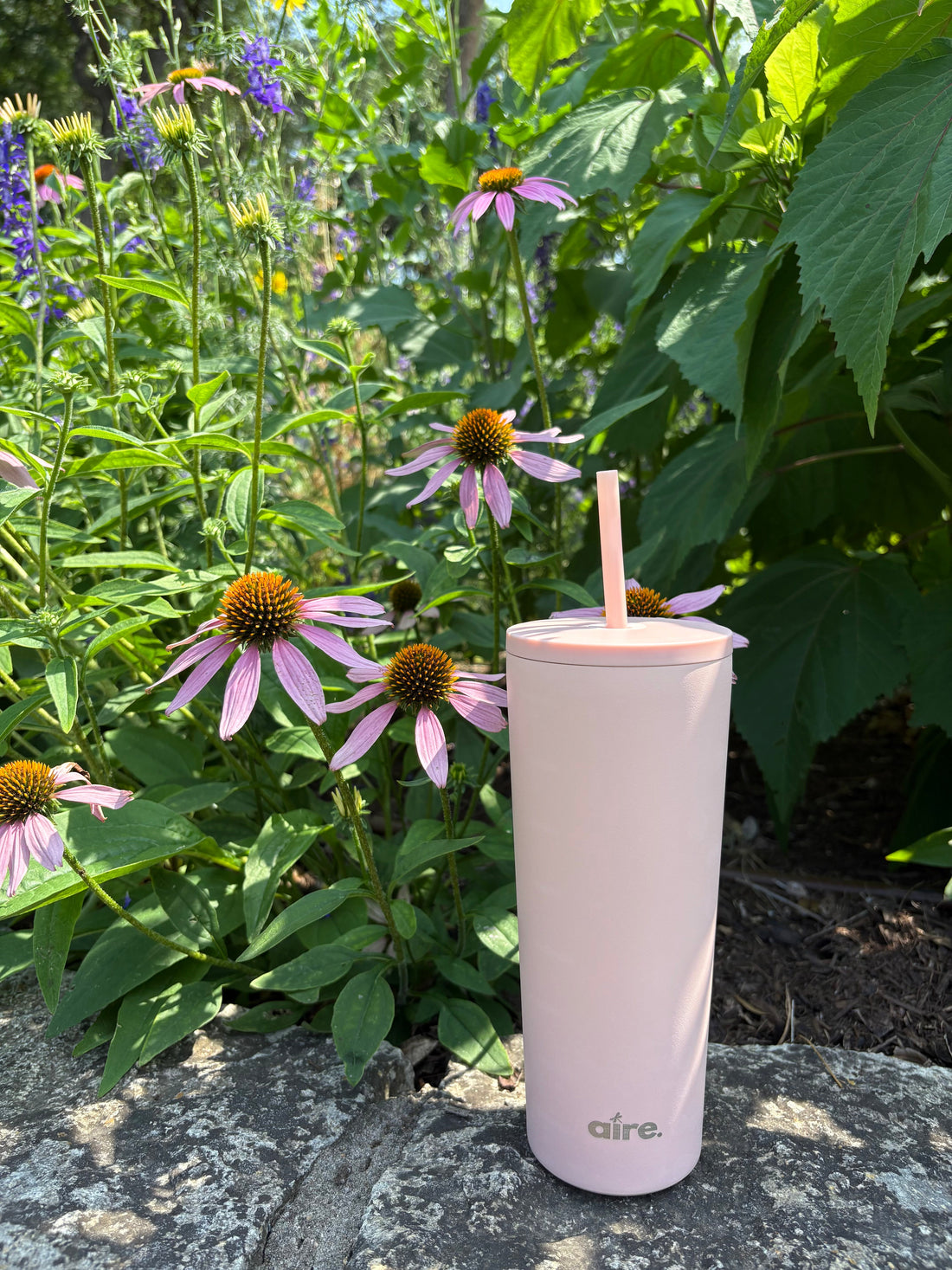 Your Step-by-Step Guide to Morning Hydration for Better Skin, Energy & Digestion