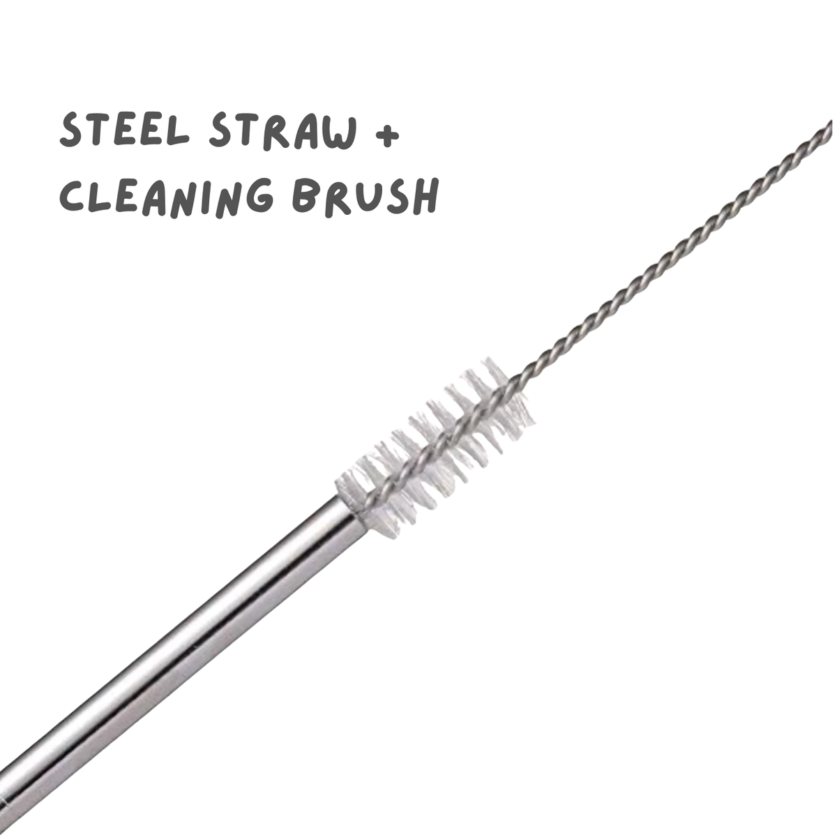 Metal Straw with Cleaning Brush