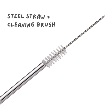 Metal Straw with Cleaning Brush